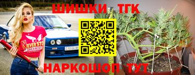 Альфа ПВП Гатчина