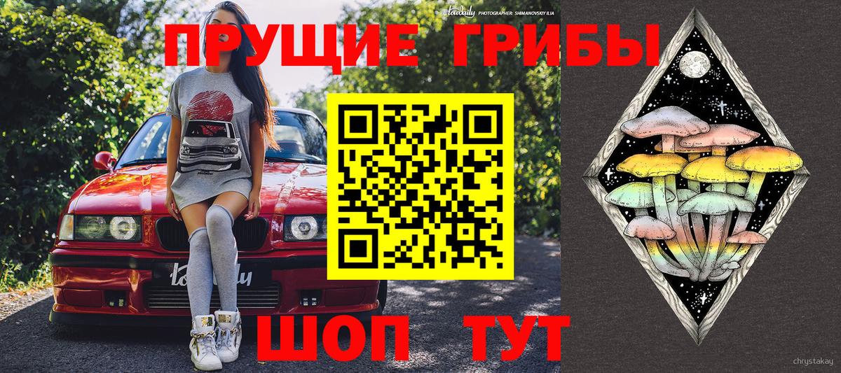 Галлюциногенные грибы GOLDEN TEACHER Новороссийск